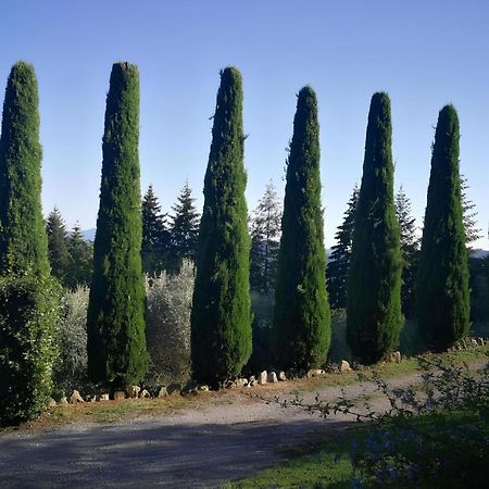 הוילה Vetriano Casa Marconi מראה חיצוני תמונה