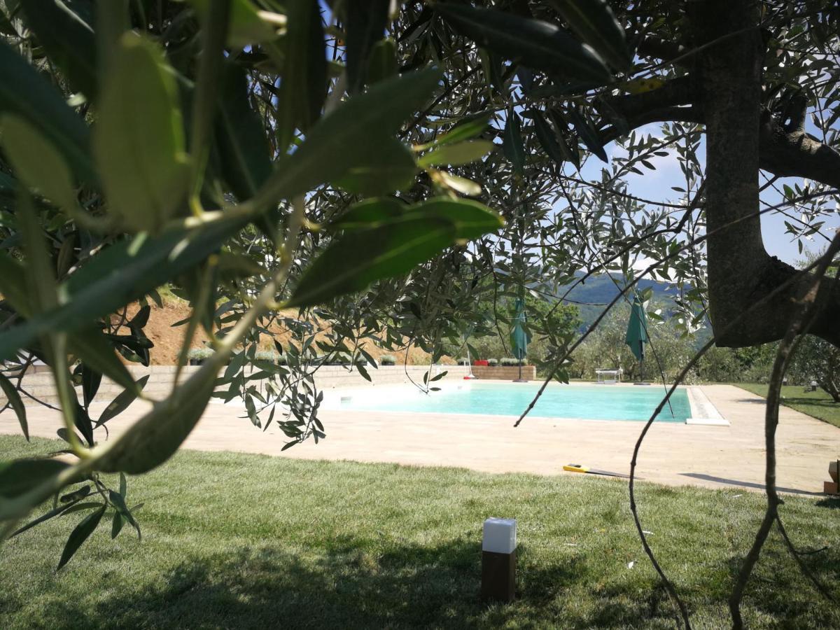 הוילה Vetriano Casa Marconi מראה חיצוני תמונה