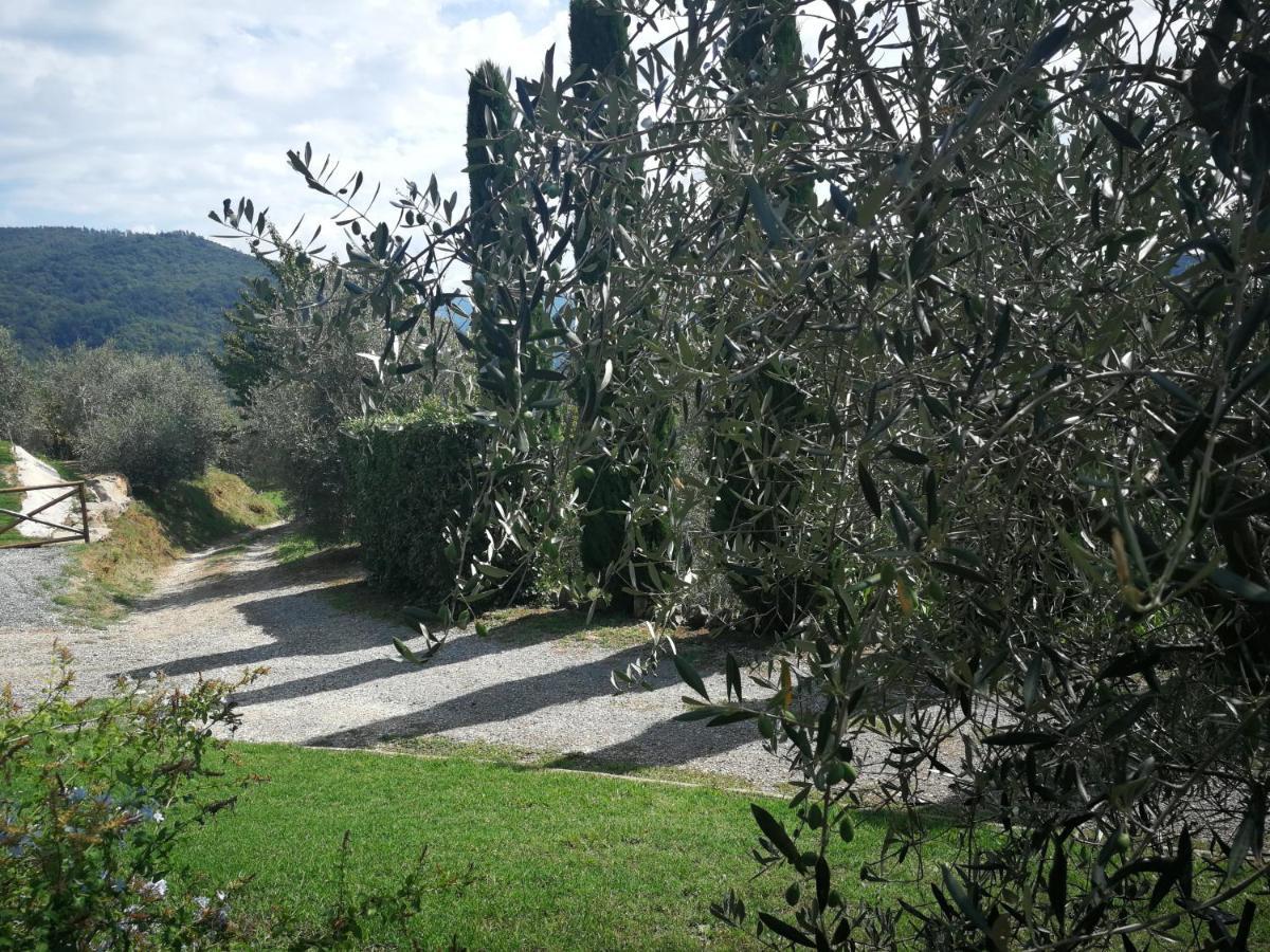 הוילה Vetriano Casa Marconi מראה חיצוני תמונה