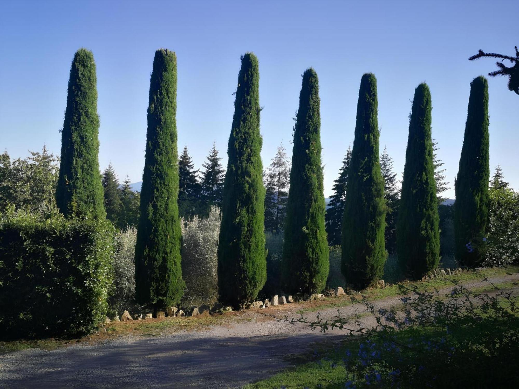 הוילה Vetriano Casa Marconi מראה חיצוני תמונה